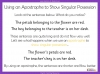 Apostrophes for Singular Possession - Years 3 and 4 Teaching Resources (slide 5/18)